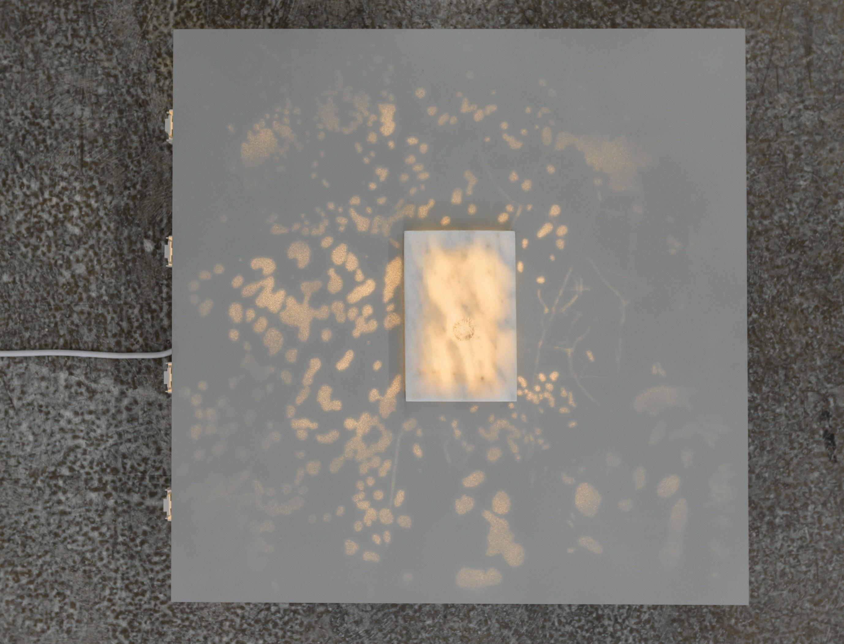 Notes on Traces (Loeren) - Janne Schipper 