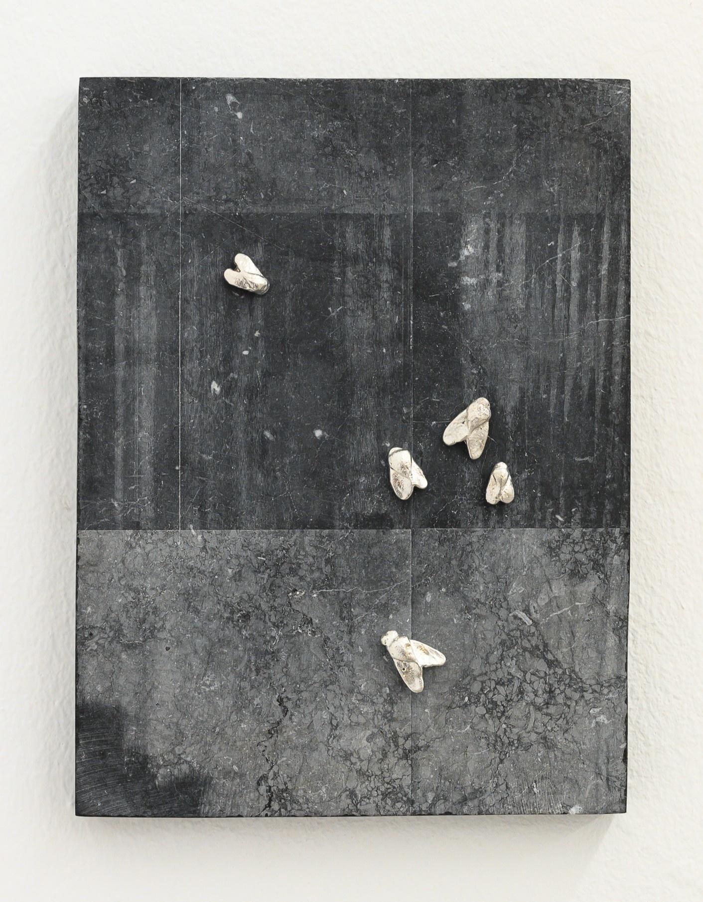 Notes on Traces - Janne Schipper 