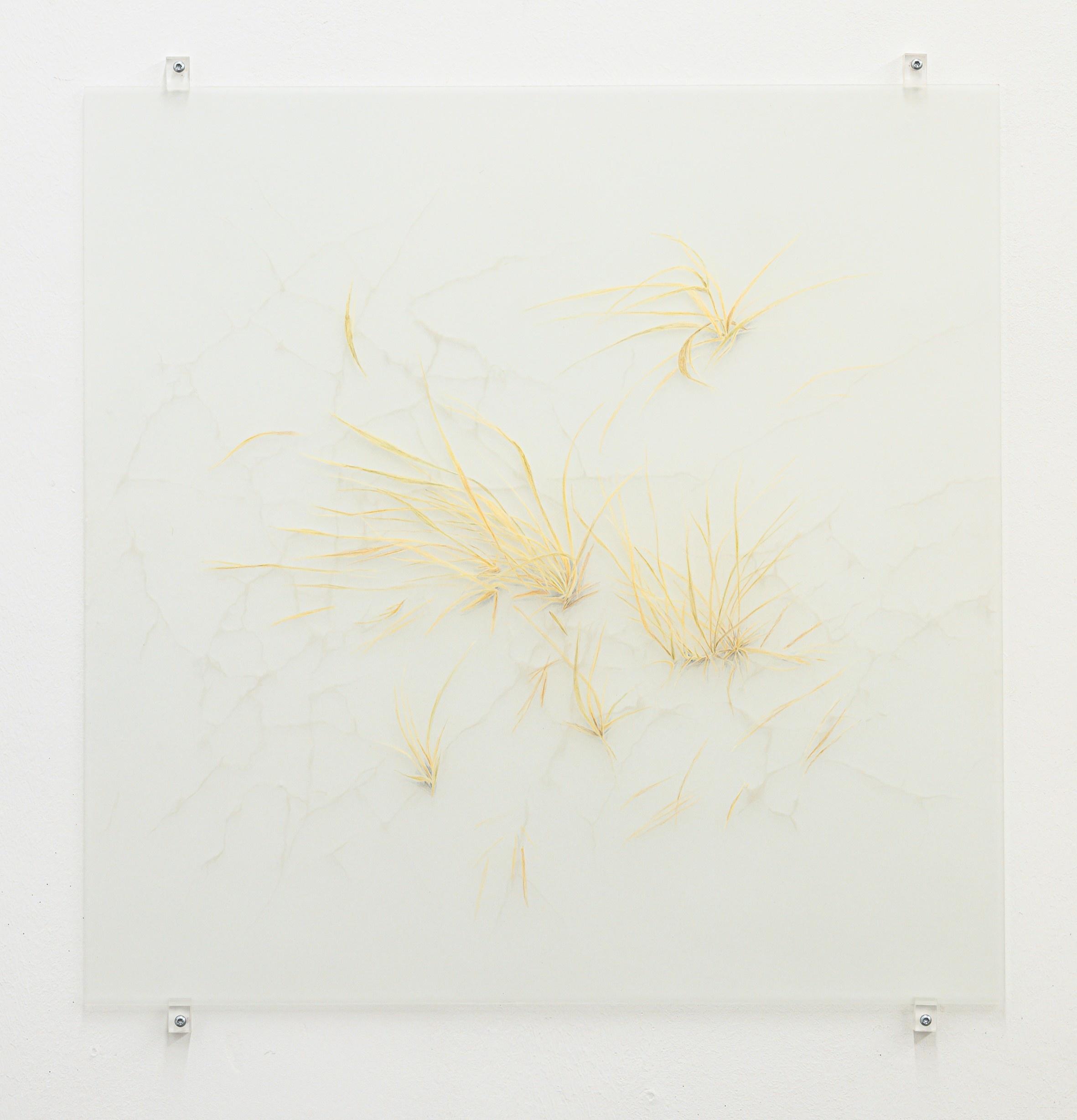 Notes on Traces - Janne Schipper 