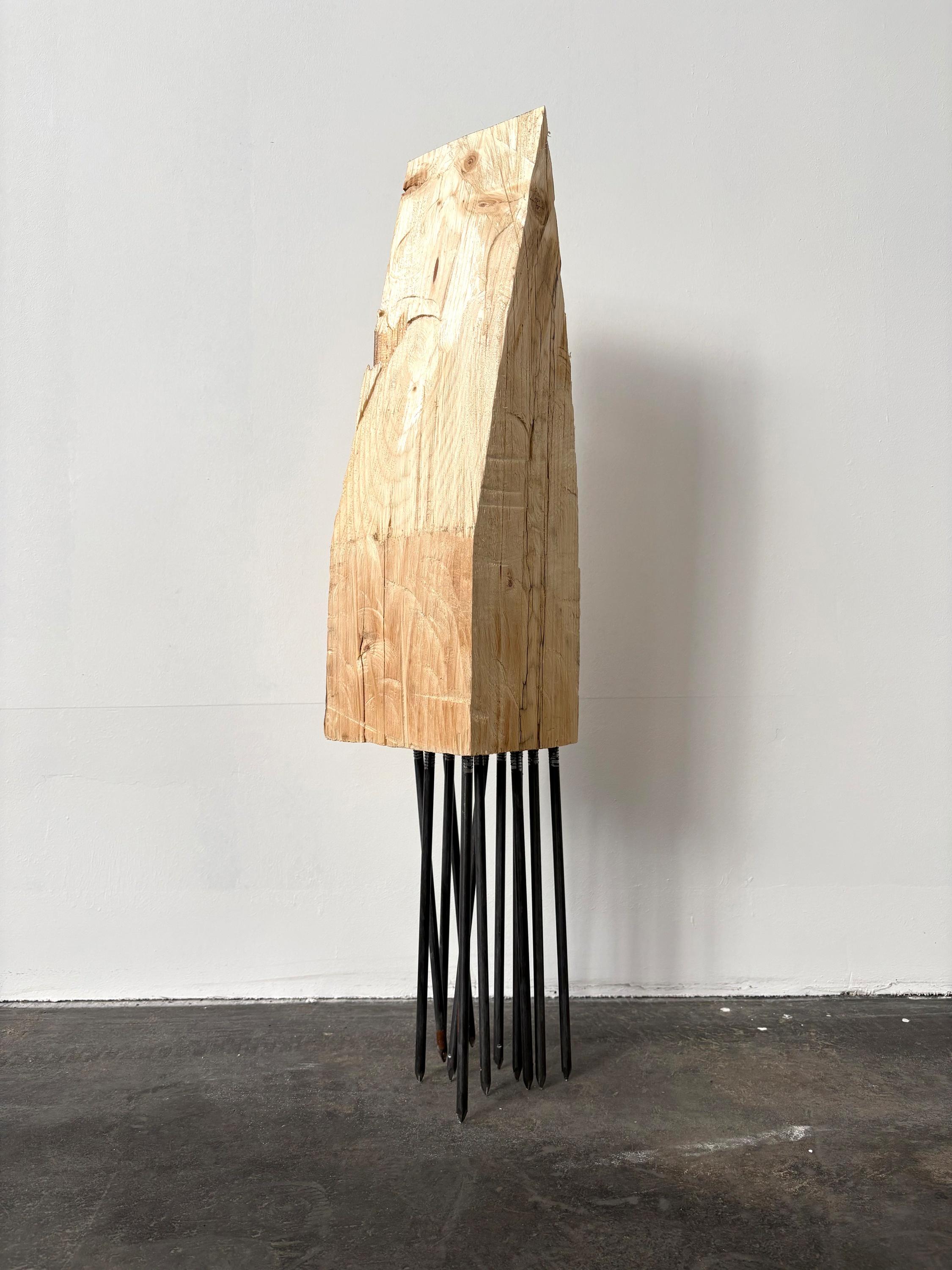 Raumforderung II (natur) - Maria Legat 