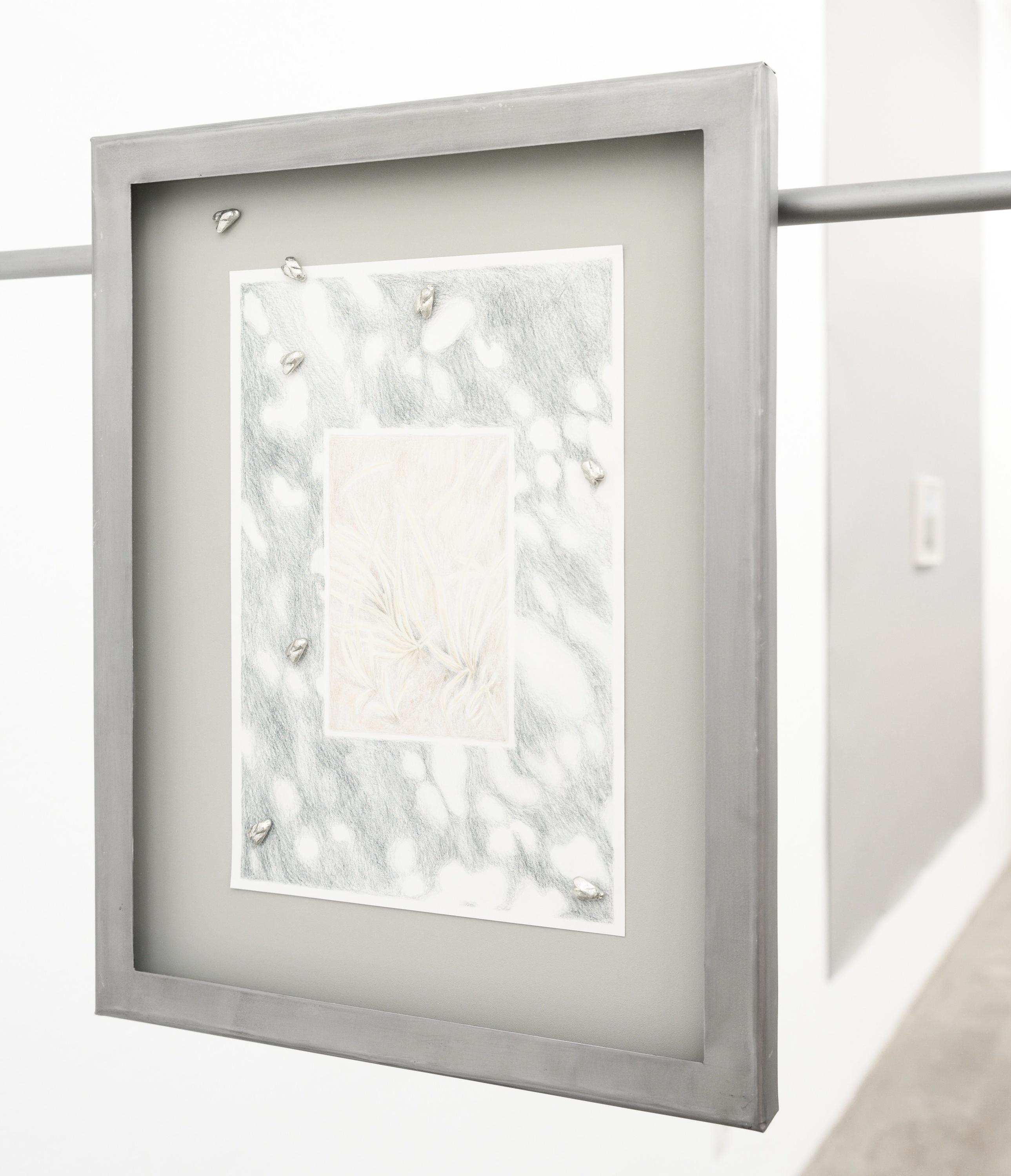 Notes on Traces (Verdord) - Janne Schipper 