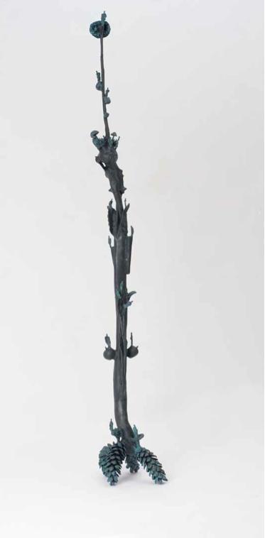 Langkalebassen Knochensteherblume - Gunter Damisch 